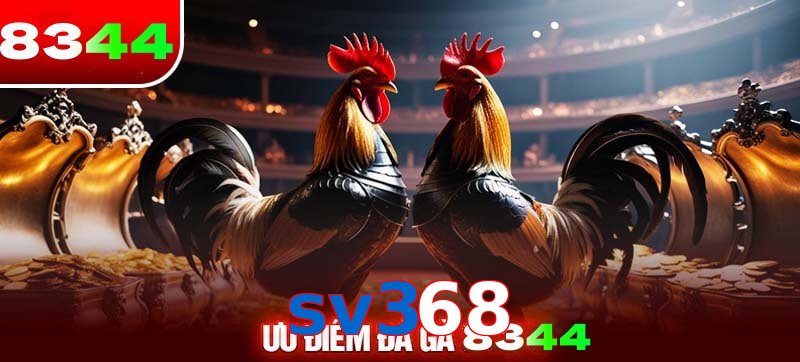 Thể loại đá gà sv368 được ưa chuộng 